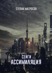 Степан Матросов - Сейги. Ассимиляция
