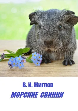 В. Жиглов Морские свинки обложка книги