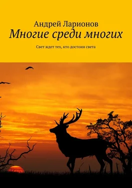 Андрей Ларионов Многие среди многих. Свет ждет тех, кто достоин света обложка книги