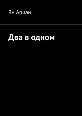 Ян Ариан Два в одном обложка книги