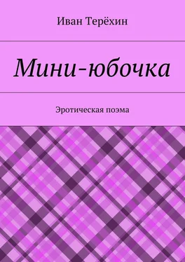 Иван Терёхин Мини-юбочка. Эротическая поэма обложка книги