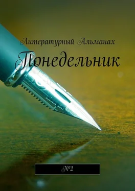 Наталья Терликова Понедельник. №2 обложка книги