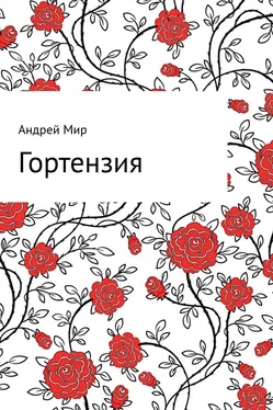 Андрей Мир Гортензия обложка книги