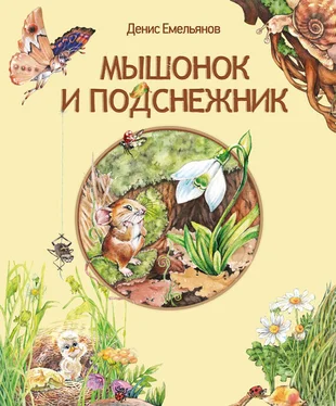 Денис Емельянов Мышонок и Подснежник (сборник) обложка книги