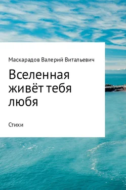 Валерий Маскарадов Вселенная живёт тебя любя обложка книги