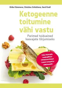 Christina Schlatterer Ketogeenne toitumine vähi vastu обложка книги