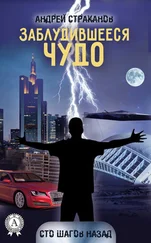Андрей Страканов - Заблудившееся чудо