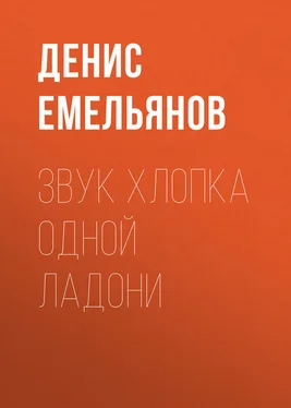 Денис Емельянов Звук хлопка одной ладони обложка книги