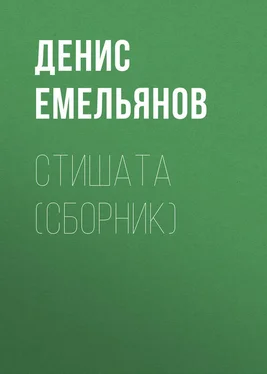 Денис Емельянов Стишата (сборник) обложка книги