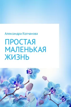 Александра Колчанова Простая маленькая жизнь обложка книги