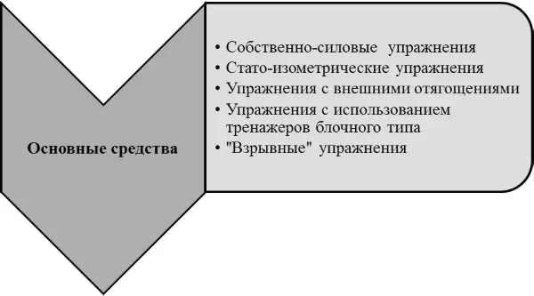 Рис 1 Классификация средств развития силы в пауэрлифтинге Аналогичную - фото 2