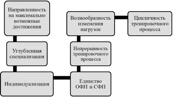 Рис 4 Основополагающие принципы спортивной тренировки в пауэрлифтинге В - фото 6