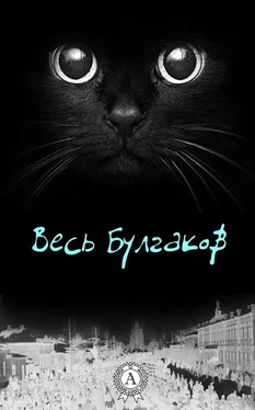 Михаил Булгаков Весь Булгаков обложка книги