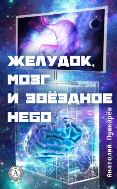 Анатолий Пушкарёв Желудок, мозг и звёздное небо обложка книги