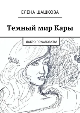 Елена Шашкова Темный мир Кары. Добро пожаловать! обложка книги