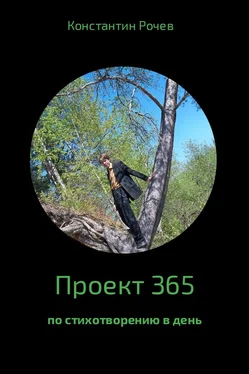 Константин Рочев Проект 365 обложка книги