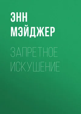 Энн Мэйджер Запретное искушение