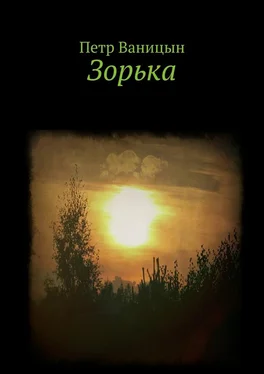 Петр Ваницын Зорька обложка книги