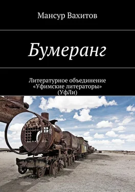 Мансур Вахитов Бумеранг обложка книги