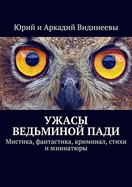 Юрий Видинеев Ужасы Ведьминой пади. Мистика, фантастика, криминал, стихи и миниатюры обложка книги