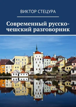 Виктор Стецура Современный русско-чешский разговорник обложка книги