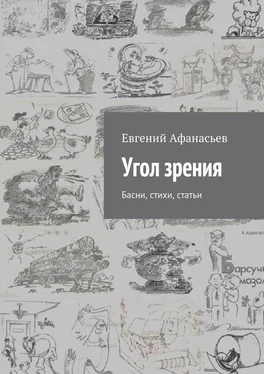 Евгений Афанасьев Угол зрения. Басни, стихи, статьи обложка книги