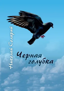 Николай Солярий Черная голубка обложка книги