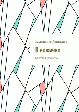 Владимир Липилин В ножички. Короткие рассказы обложка книги