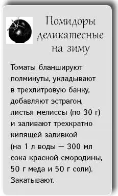 Заготовки на зиму Лучшие рецепты для тех кто ценит свое время - изображение 16