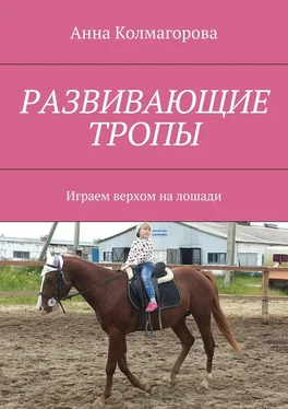 Анна Колмагорова Развивающие тропы. Играем верхом на лошади обложка книги