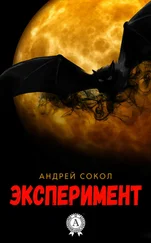 Андрей Сокол - Эксперимент