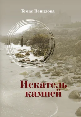 Томас Венцлова Искатель камней (сборник) обложка книги