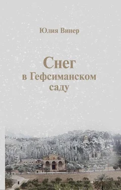 Юлия Винер Снег в Гефсиманском саду (сборник) обложка книги