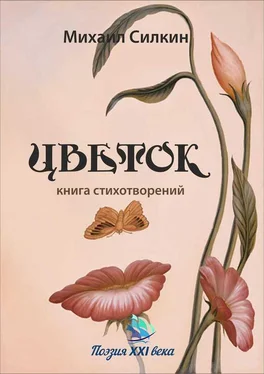 Михаил Силкин Цветок. Книга стихотворений обложка книги