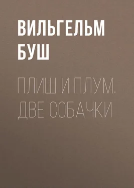 Вильгельм Буш Плиш и Плум. Две собачки обложка книги