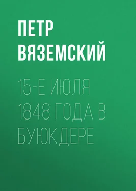 Петр Вяземский 15-е июля 1848 года в Буюкдере обложка книги