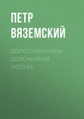 Петр Вяземский - Допотопная или допожарная Москва