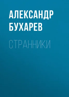 Александр Бухарев Странники обложка книги