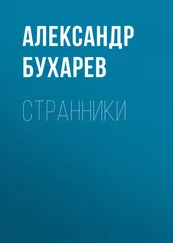 Александр Бухарев - Странники
