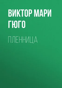 Виктор Мари Гюго Пленница обложка книги