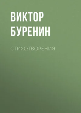 Виктор Буренин Стихотворения обложка книги