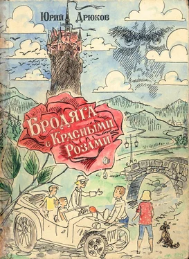 Юрий Дрюков Бродяга с Красными Розами обложка книги