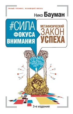 Нико Бауман #Сила фокуса внимания. Метафизический закон успеха обложка книги