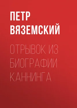 Петр Вяземский Отрывок из биографии Каннинга обложка книги