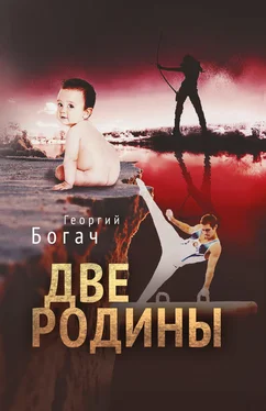 Георгий Богач Две Родины обложка книги