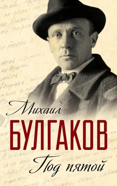 Михаил Булгаков Под пятой. Записные книжки Мастера (сборник) обложка книги