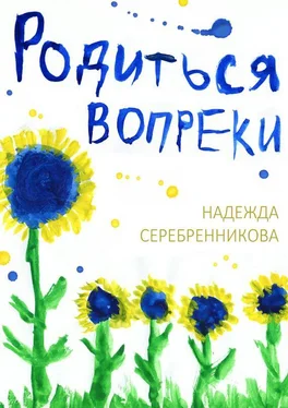 Надежда Серебренникова Родиться вопреки. Сказочный роман обложка книги