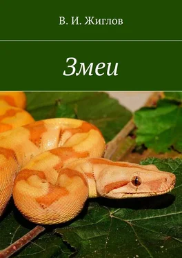 В. Жиглов Змеи обложка книги