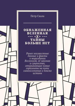 Петр Скала Обнаженная Вселенная. Тайны больше нет. Ранее неизвестные данные и факты о мироздании Вселенной, её законах и сущностях, открывающие новые горизонты на пути самоосознания и поиска истины обложка книги