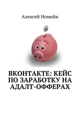 Алексей Номейн ВКонтакте: кейс по заработку на адалт-офферах обложка книги